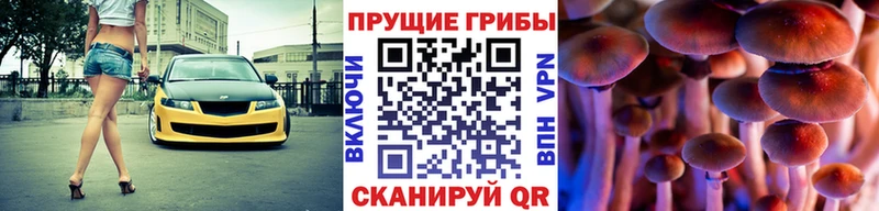 KRAKEN зеркало Балабаново Псилоцибиновые грибы мицелий