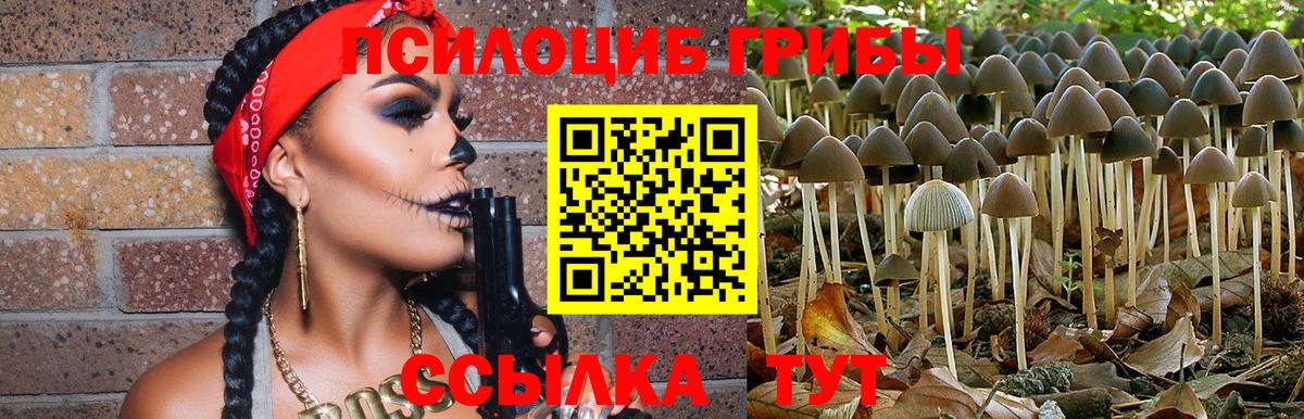 Псилоцибиновые грибы Cubensis Балабаново