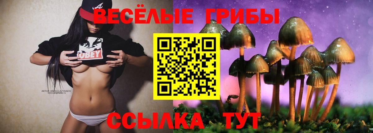 где найти наркотики  Балабаново  Галлюциногенные грибы Psilocybine cubensis 