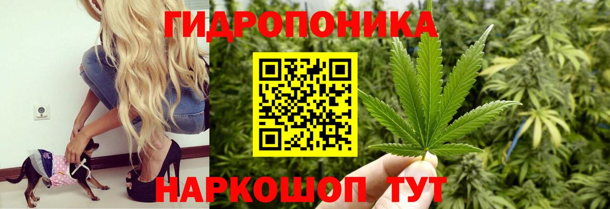 Конопля White Widow  Бошки Шишки THC 21%  Вход с VPN  Бошки Шишки гибрид  Балабаново  Конопля THC 21% 